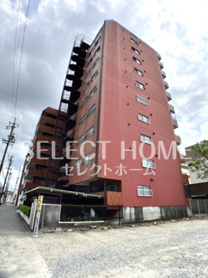  | シャンボール康生