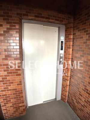  | シャンボール康生