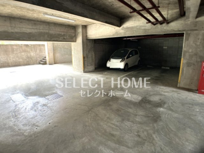  | シャンボール康生