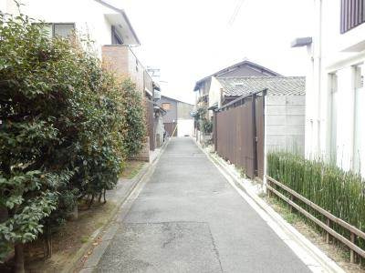 ParkSideMibu　annex（パークサイド壬生アネックス）の周辺|前面道路