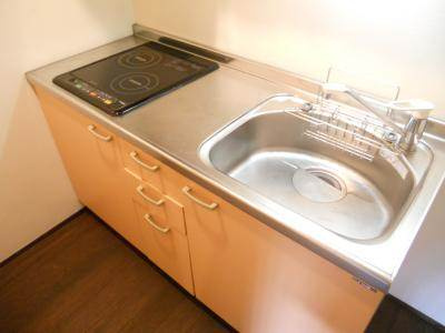 ParkSideMibu（パークサイド壬生）のキッチン|２口ＩＨシステムキッチン