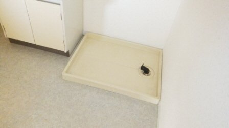 エクセル夏見台の設備|室内洗濯機置場