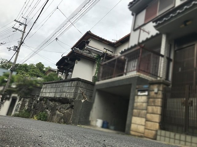 太秦中町　中古一戸建ての外観