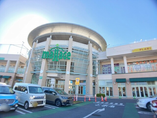 スリンキ―の周辺