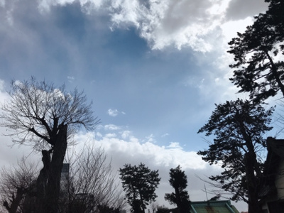 【展望】 | コスモスパジオ上馬