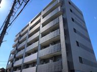 ｓａｎｓｅｉ－ｋの画像