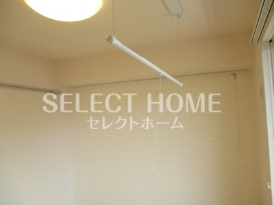 【その他】 | オリーブ錦