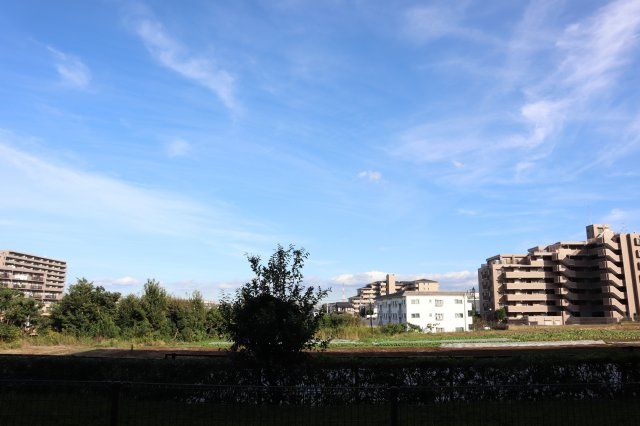 ファミール津田沼　人気の１階部分　専用庭付の展望|前面は開けており開放的なロケーション