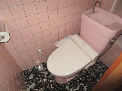 【トイレ】 | 高知市十津1丁目 中古売家 3DK | トイレ