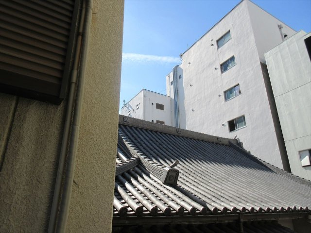 ルーミィの展望|ルーミィ