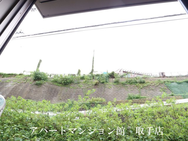 プログレスの展望