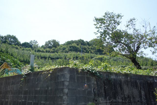 八女市立花町北山土地の外観