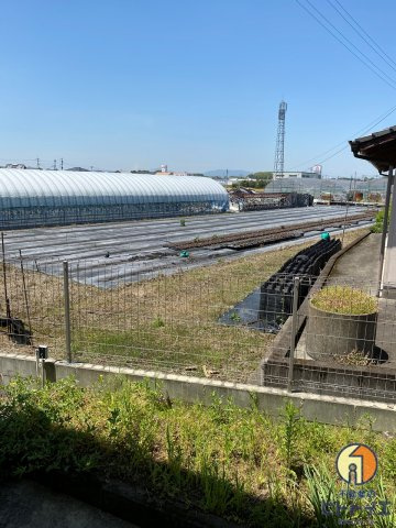 ドリーム蒲原の展望