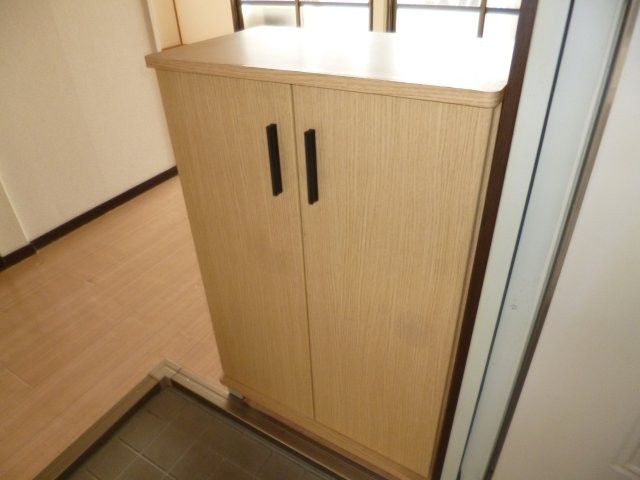 メゾンセンチュリーAの内装|シューズボックス