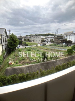 【展望】