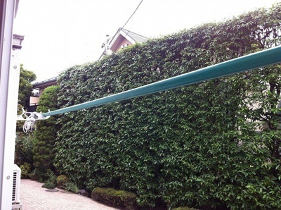 【展望】 | メゾネット桜上水