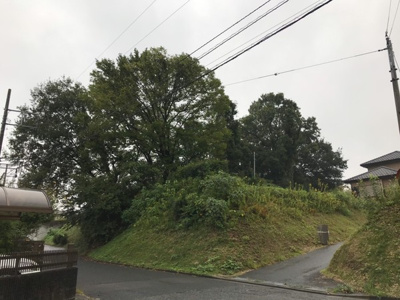 【外観】 | 守谷市高野　松ヶ丘団地に隣接の山林・１０年特例用地 | 利用には伐採が必要です