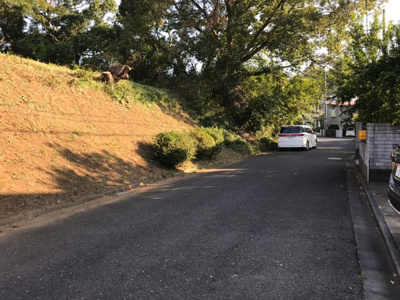 【前面道路含む現地写真】 | 守谷市高野　松ヶ丘団地に隣接の山林・１０年特例用地 | 土地区画整理地の６ｍ公道