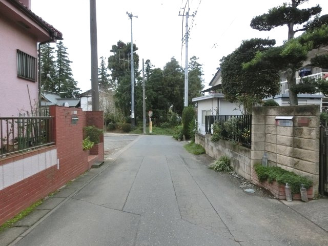 鴻巣市大間２丁目の売地の前面道路含む現地写真|接道する北側の道路を東側から撮影。物件は左側です。2019年10月26日 16:45頃撮影。