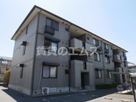 セジュール板付の画像