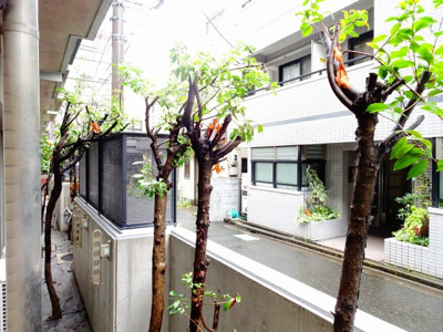 【その他】 | 精養堂アパートメンツ