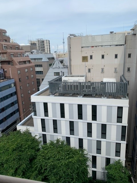 湯島武蔵野マンションの展望|眺望