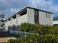 ローズマリーの画像