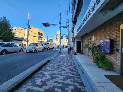 シリウス星の子の周辺|前面道路