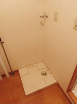 メイプルコート館坂の洗面所