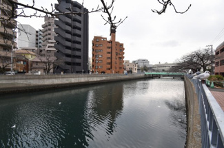 【周辺】 | 春には大岡川の桜並木が楽しめます♪