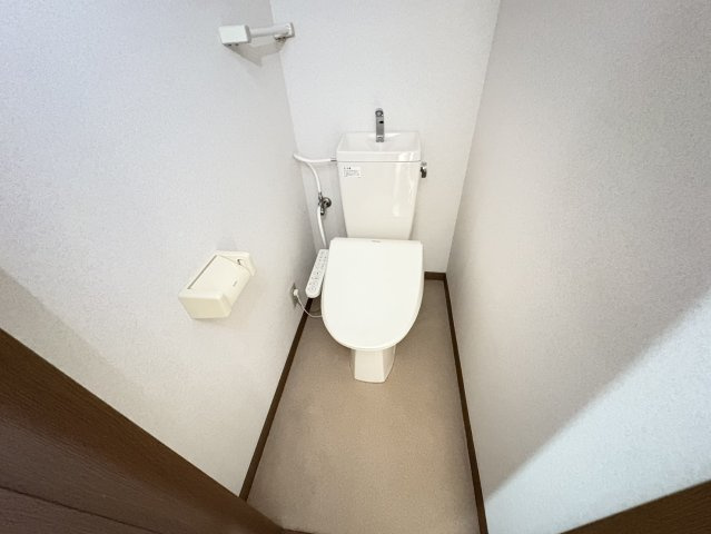 テラスドミールⅡの洗面所