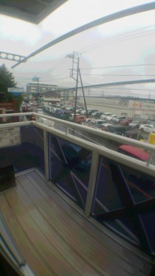  | フェニックス