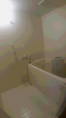  | フェニックス