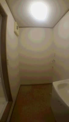  | フェニックス