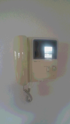  | フェニックス