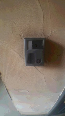  | フェニックス