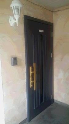  | フェニックス