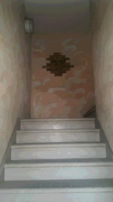  | フェニックス