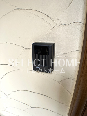  | ネイ・ヴァンクール