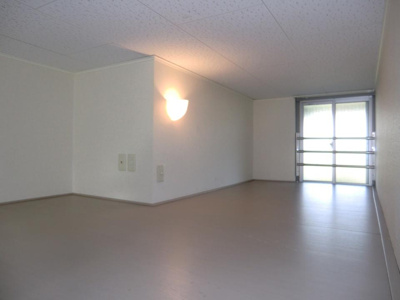 【内装】 | レオパレス猪名川 | 約3帖のロフト