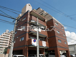 【外観】 | ドメスティックハウスの外観