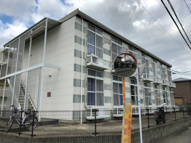 グリーンの画像