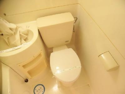 メゾン・ド嵯峨野のトイレ