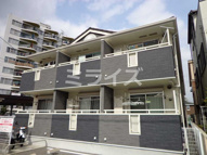 レインボーローズの画像