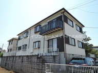 ドルフィンひとみの画像