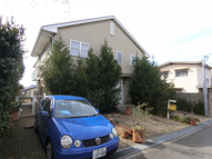 グリーンピースの画像