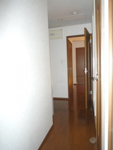 文京区千駄木５丁目の賃貸マンションのその他|廊下