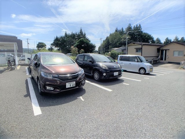 モンステラの駐車場