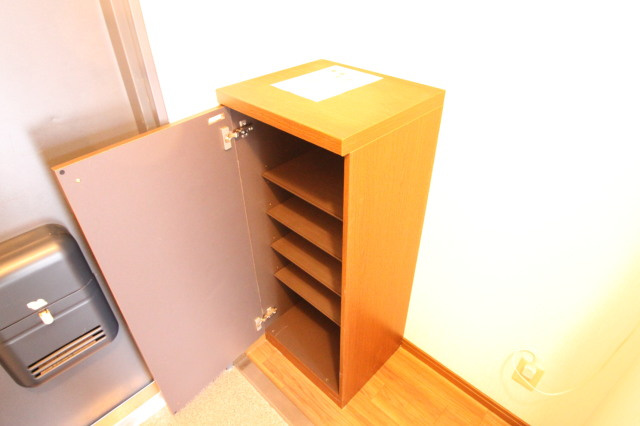 カサベルデ弥生　(近大　一人暮らし)の収納