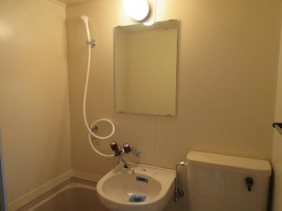 メゾン・ド・パルミエの洗面所